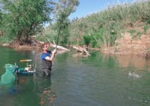 Pesca in fiume: attrezzature, 6 tecniche e permessi
